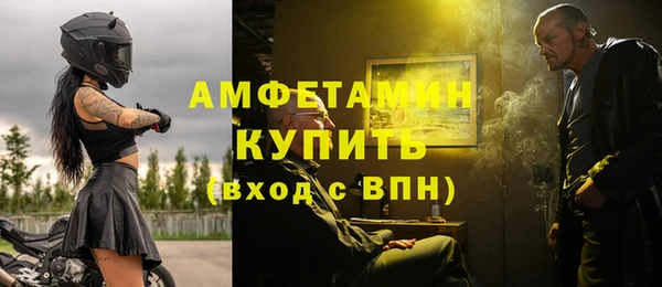 гидра Богданович