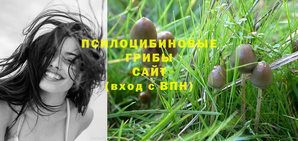 бошки Осинники