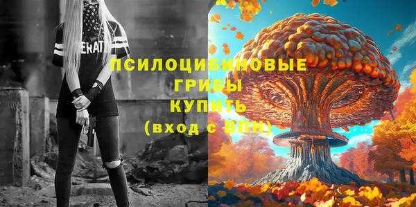 гидра Богданович