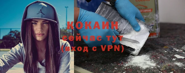 гидра Богданович
