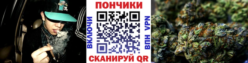 Бошки марихуана план  Свирск 
